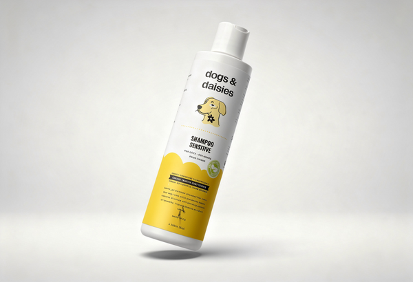 shampoing_1